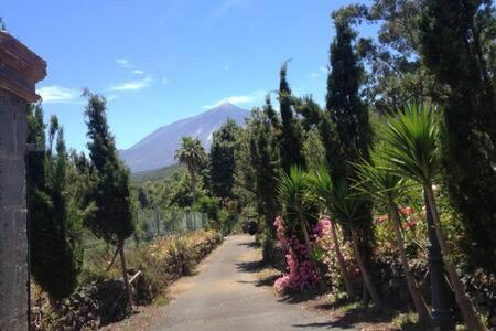 Villa Rural Faldas Del Teide Icod De Los Vinos Exterior foto